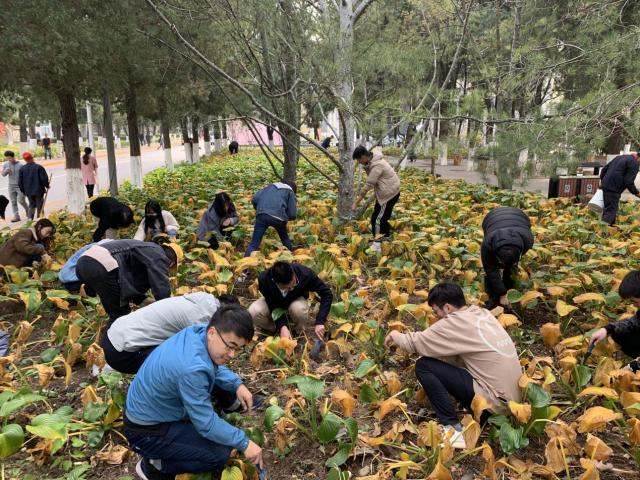 20191121157430117652205506.jpg 2.jpg